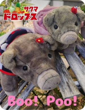 作例