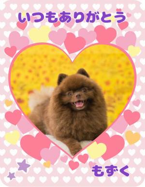 作例