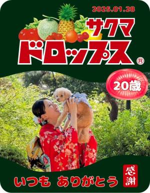 作例