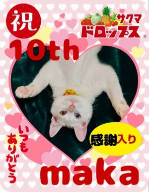 作例