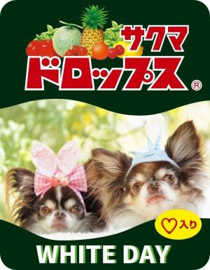 作例