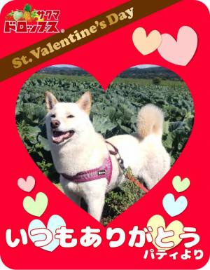作例