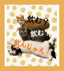 作例
